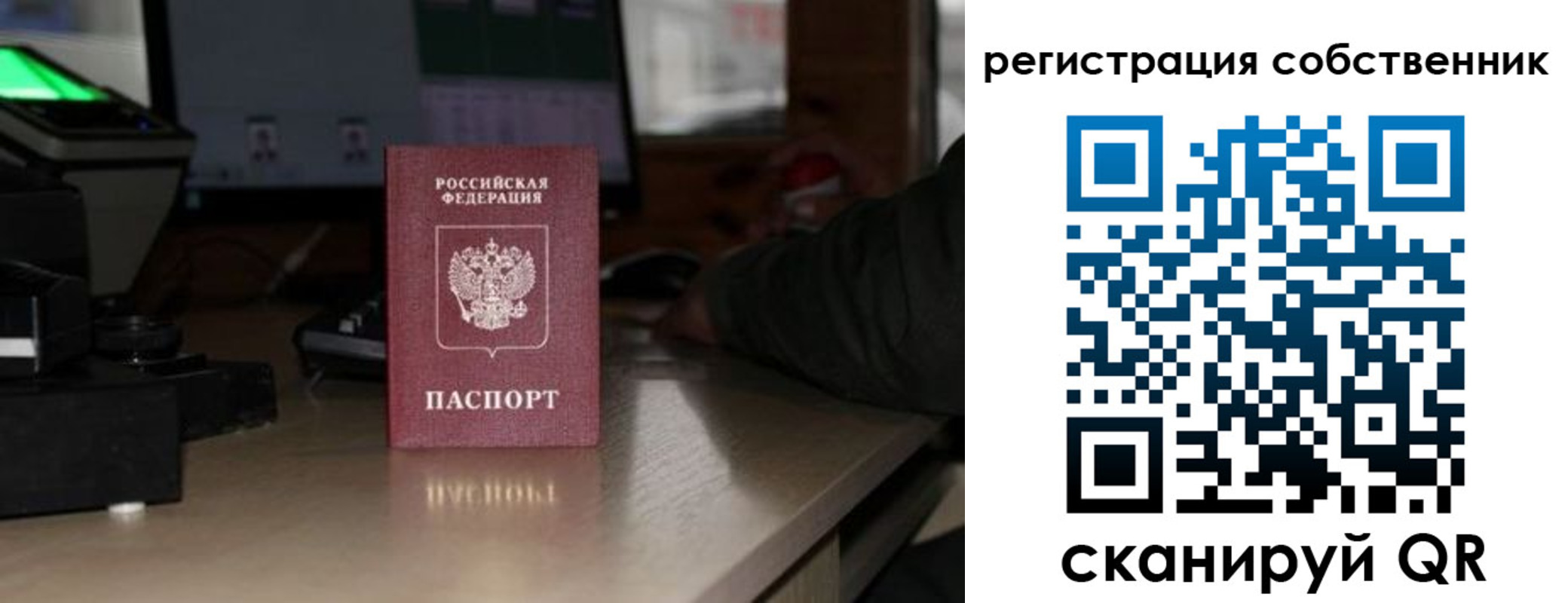 прописка поиск в Судогде